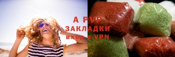 ешки Белокуриха