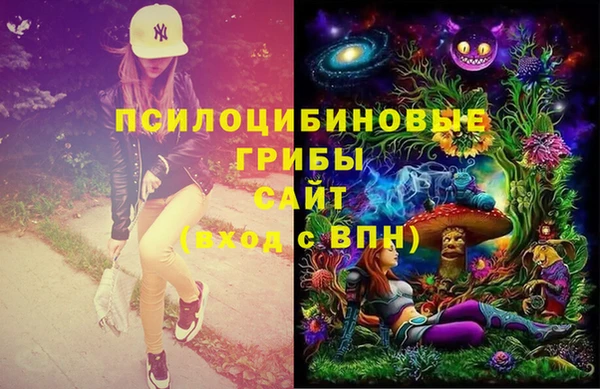трава Богородицк