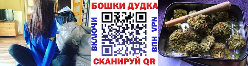Бошки Шишки SATIVA & INDICA  цена наркотик  Малая Вишера 